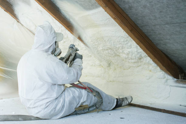 Best Attic Insulation Installation in Caldwell, NJ